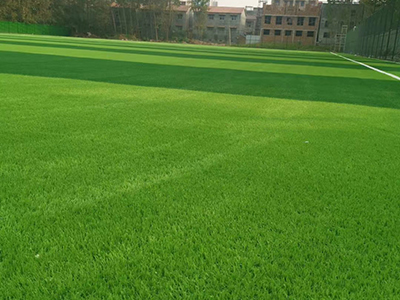 微信图片_20260424091735_396_1472.jpg